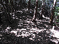 yahazu073_thumb.png