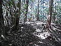 yahazu074_thumb.png