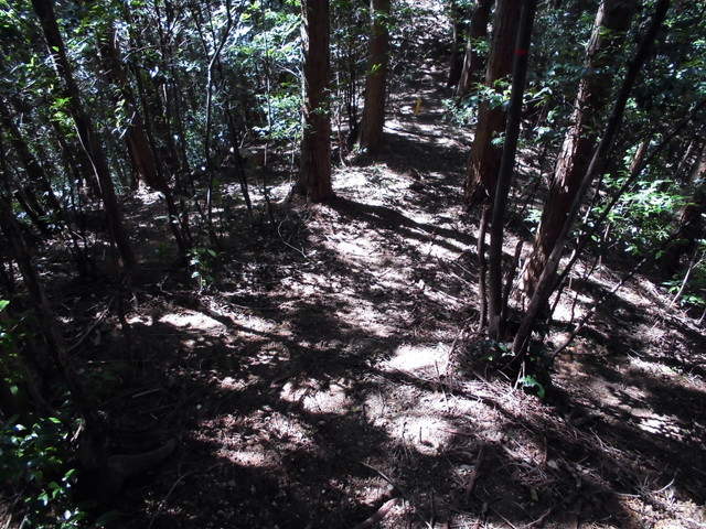 yahazu075.jpg