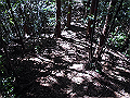 yahazu075_thumb.png