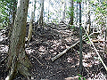 yahazu078_thumb.png