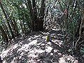 yahazu081_thumb.png