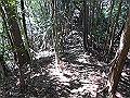 yahazu082_thumb.png