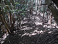 yahazu083_thumb.png