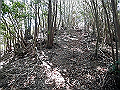 yahazu086_thumb.png