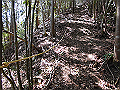 yahazu089_thumb.png