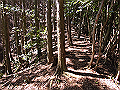 yahazu091_thumb.png