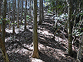 yahazu092_thumb.png
