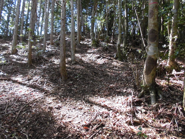 yahazu093.jpg