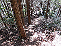 yahazu096_thumb.png