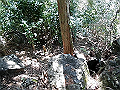 yahazu097_thumb.png