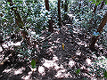 yahazu099_thumb.png