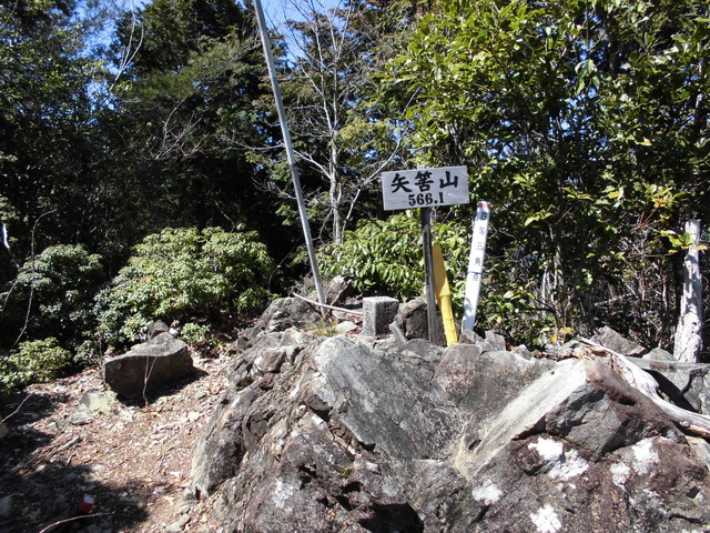 yahazu119.jpg