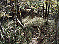 irazu012_thumb.png