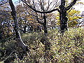 irazu013_thumb.png