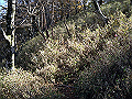 irazu014_thumb.png