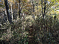 irazu015_thumb.png