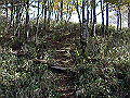 irazu021_thumb.png