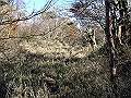 irazu031_thumb.png