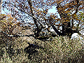 irazu032_thumb.png
