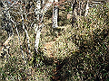 irazu033_thumb.png