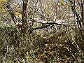 irazu035_thumb.png