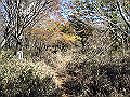 irazu036_thumb.png