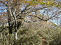 irazu038_thumb.png