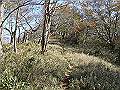 irazu041_thumb.png