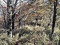 irazu042_thumb.png