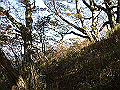 irazu044_thumb.png