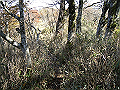 irazu045_thumb.png