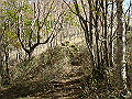 irazu051_thumb.png