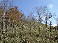 irazu052_thumb.png