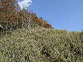 irazu054_thumb.png