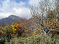 irazu061_thumb.png