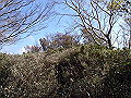 irazu065_thumb.png