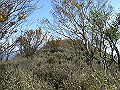 irazu066_thumb.png