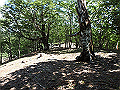 irazu028_thumb.png