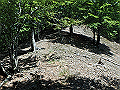 irazu031_thumb.png
