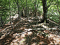irazu033_thumb.png
