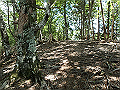 irazu037_thumb.png