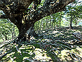 irazu041_thumb.png