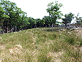 irazu044_thumb.png