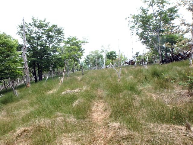 irazu045.jpg