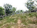 irazu045_thumb.png