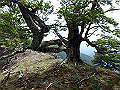 irazu049_thumb.png