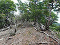 irazu053_thumb.png