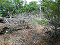 irazu055_thumb.png