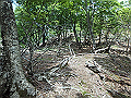 irazu057_thumb.png